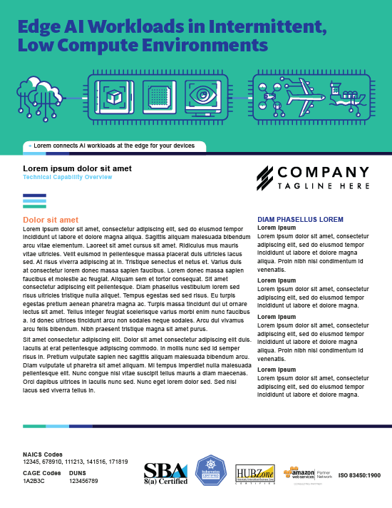 Capabilities Brief Edge AI