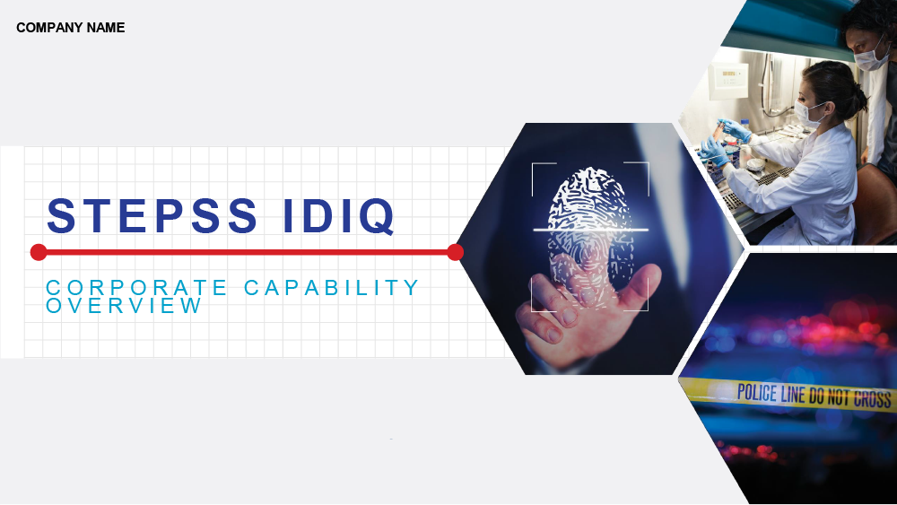 IDIQ Capabilities Presentation Example 